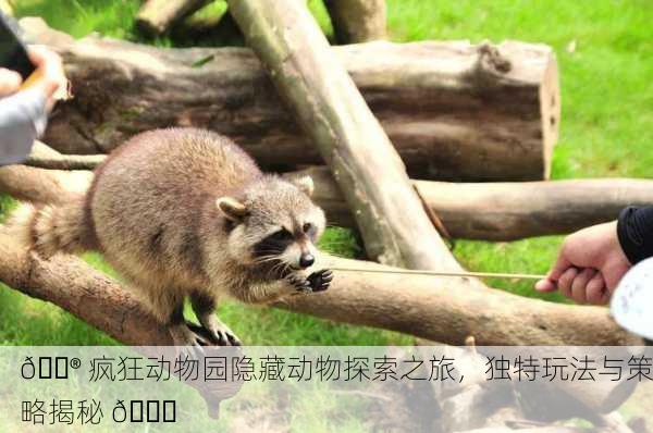 🎮 疯狂动物园隐藏动物探索之旅，独特玩法与策略揭秘 🐒