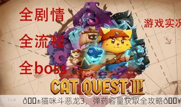 🐱猫咪斗恶龙3，弹药容量获取全攻略🔥