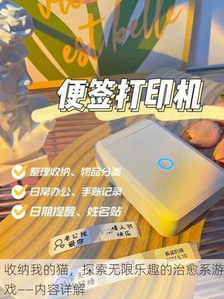 收纳我的猫，探索无限乐趣的治愈系游戏——内容详解