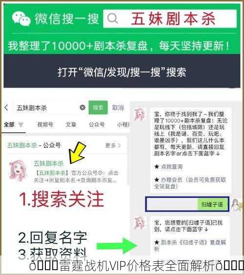 🎉雷霆战机VIP价格表全面解析🎉