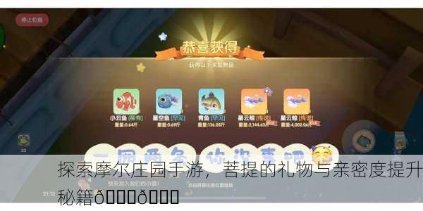探索摩尔庄园手游，菩提的礼物与亲密度提升秘籍🎁💖