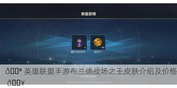 🎮 英雄联盟手游布兰德战场之王皮肤介绍及价格 🔥