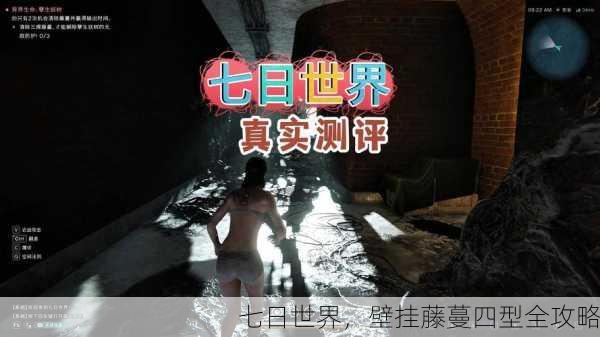 七日世界，壁挂藤蔓四型全攻略