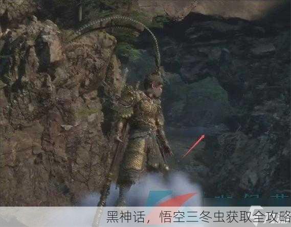 黑神话，悟空三冬虫获取全攻略