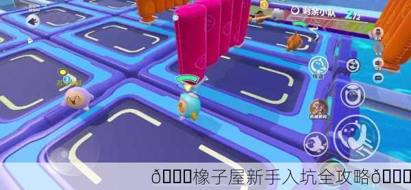 🎉橡子屋新手入坑全攻略🎉