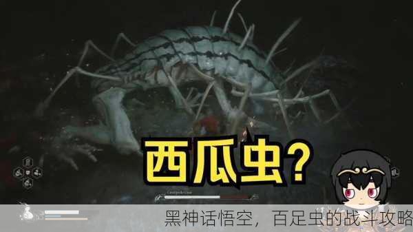 黑神话悟空，百足虫的战斗攻略