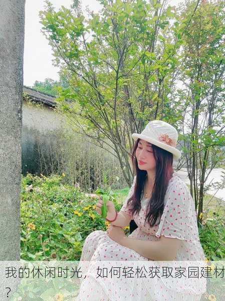 我的休闲时光，如何轻松获取家园建材？