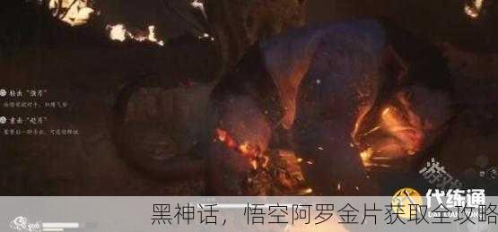 黑神话，悟空阿罗金片获取全攻略