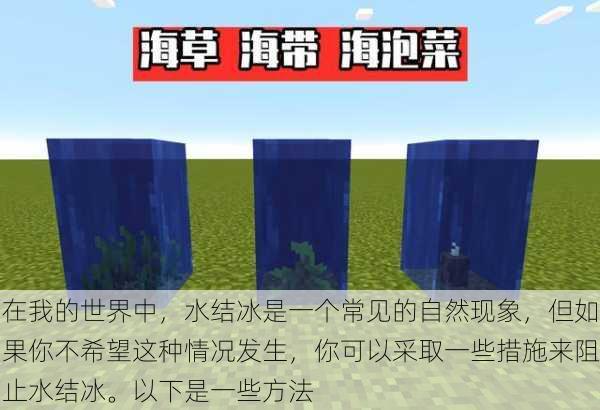 在我的世界中，水结冰是一个常见的自然现象，但如果你不希望这种情况发生，你可以采取一些措施来阻止水结冰。以下是一些方法