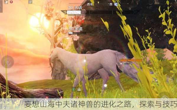 妄想山海中夫诸神兽的进化之路，探索与技巧