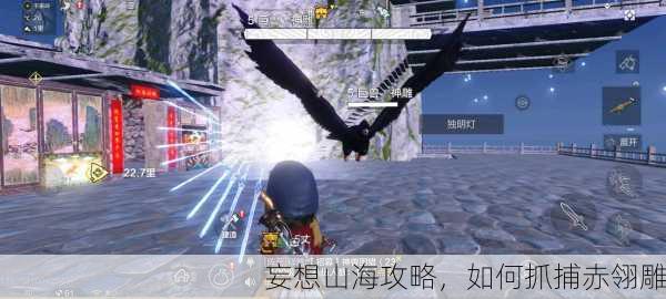妄想山海攻略，如何抓捕赤翎雕