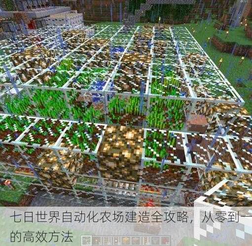 七日世界自动化农场建造全攻略，从零到一的高效方法