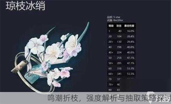 鸣潮折枝，强度解析与抽取策略探讨