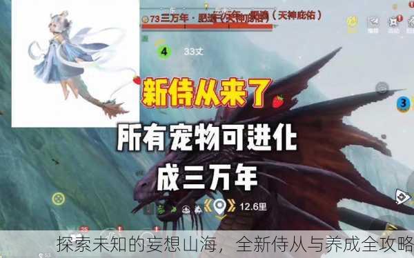 探索未知的妄想山海，全新侍从与养成全攻略