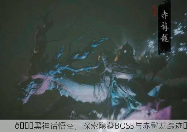 🌌黑神话悟空，探索隐藏BOSS与赤髯龙踪迹⏰