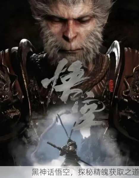 黑神话悟空，探秘精魄获取之道