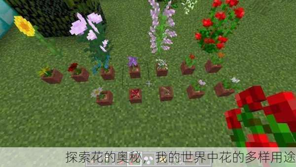 探索花的奥秘，我的世界中花的多样用途