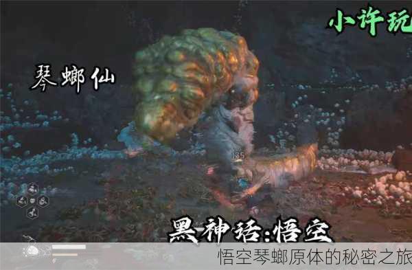 悟空琴螂原体的秘密之旅