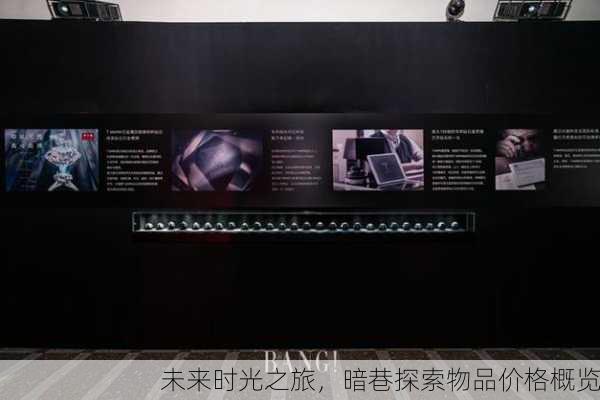 未来时光之旅，暗巷探索物品价格概览