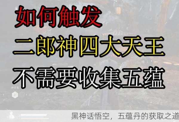 黑神话悟空，五蕴丹的获取之道