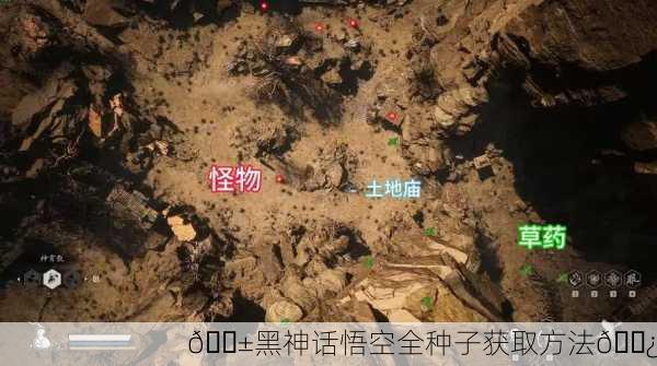 🌱黑神话悟空全种子获取方法🌿