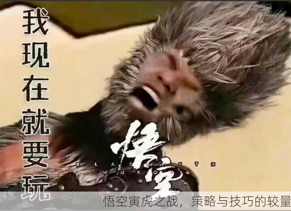 悟空寅虎之战，策略与技巧的较量