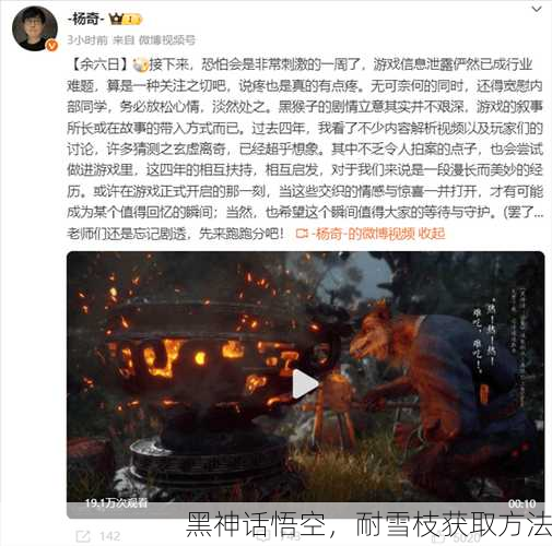 黑神话悟空，耐雪枝获取方法