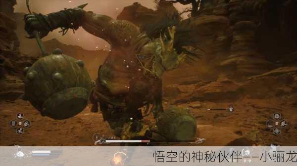 悟空的神秘伙伴——小骊龙