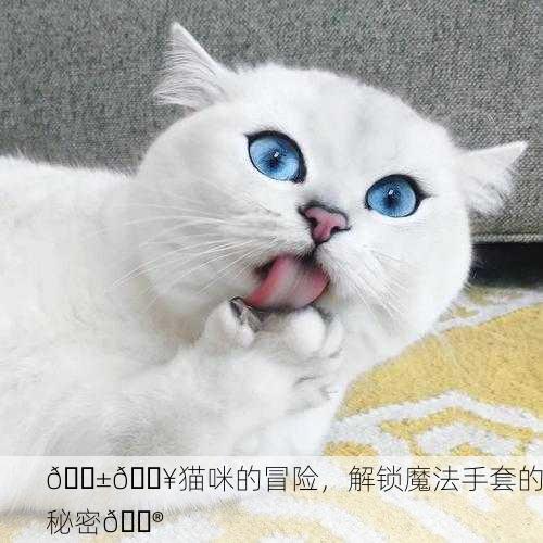 🐱🔥猫咪的冒险，解锁魔法手套的秘密🔮