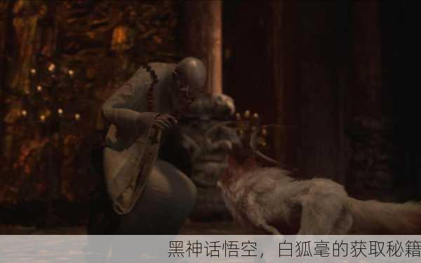 黑神话悟空，白狐毫的获取秘籍
