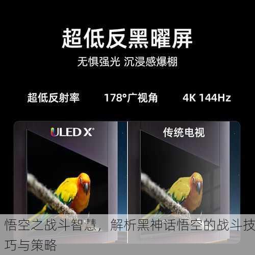 悟空之战斗智慧，解析黑神话悟空的战斗技巧与策略