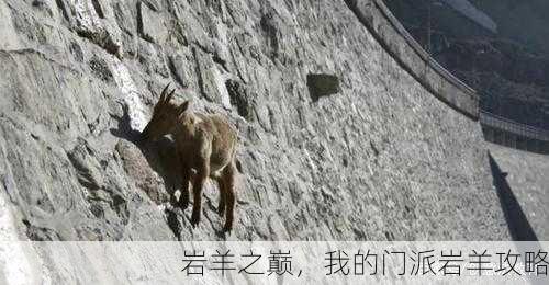 岩羊之巅，我的门派岩羊攻略