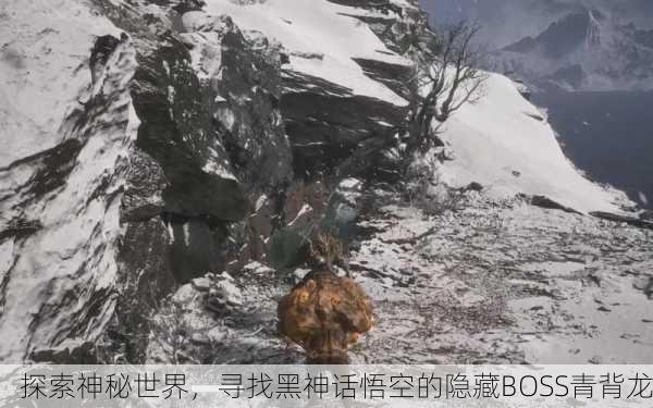 探索神秘世界，寻找黑神话悟空的隐藏BOSS青背龙