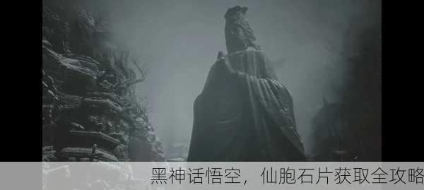 黑神话悟空，仙胞石片获取全攻略