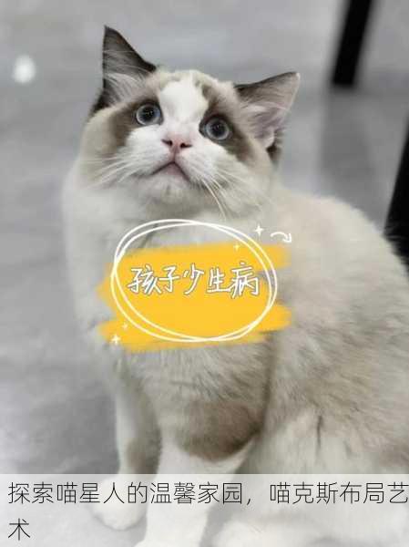 探索喵星人的温馨家园，喵克斯布局艺术