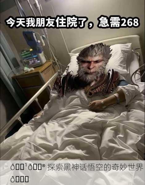 🌹🎮 探索黑神话悟空的奇妙世界 🌈