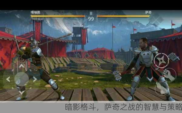 暗影格斗，萨奇之战的智慧与策略