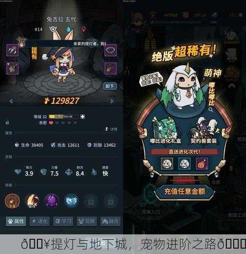 🔥提灯与地下城，宠物进阶之路🔝