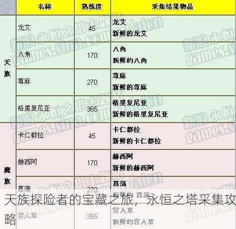 天族探险者的宝藏之旅，永恒之塔采集攻略