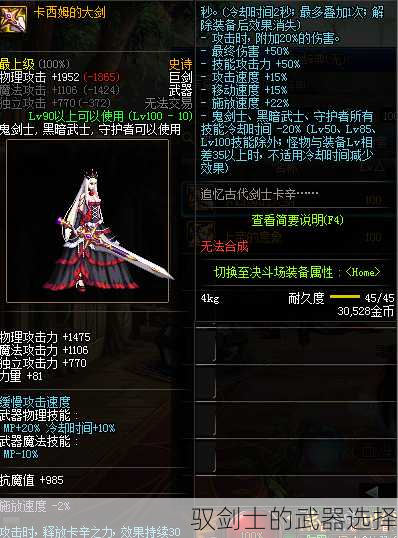 驭剑士的武器选择