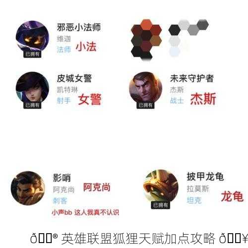 🎮 英雄联盟狐狸天赋加点攻略 🔥