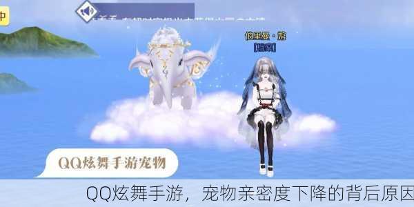 QQ炫舞手游，宠物亲密度下降的背后原因