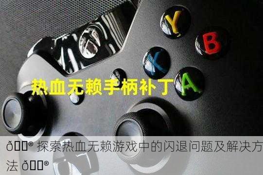 🎮 探索热血无赖游戏中的闪退问题及解决方法 🎮