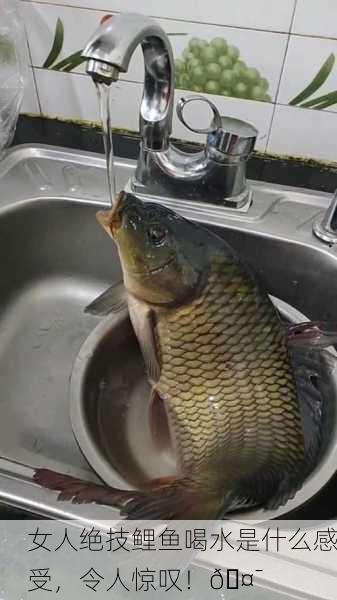 女人绝技鲤鱼喝水是什么感受，令人惊叹！🤯