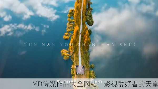 MD传媒作品大全网站：影视爱好者的天堂