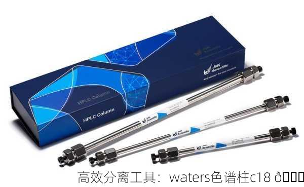 高效分离工具：waters色谱柱c18 🚀