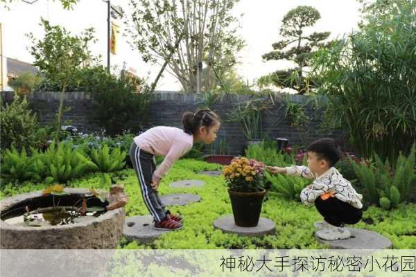 神秘大手探访秘密小花园