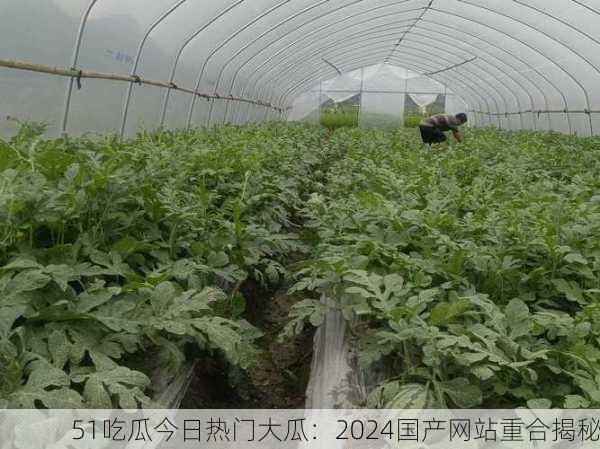 51吃瓜今日热门大瓜：2024国产网站重合揭秘