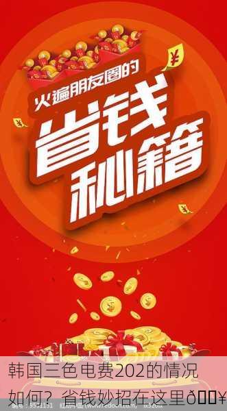 韩国三色电费202的情况如何？省钱妙招在这里🔥
