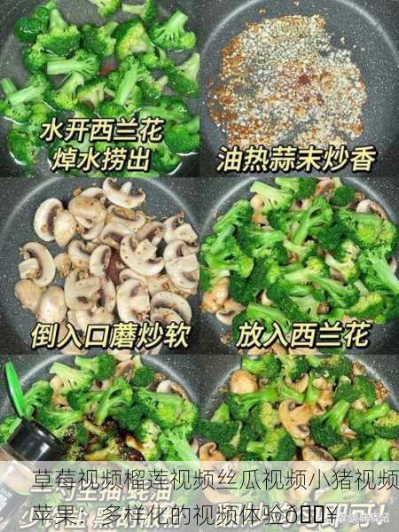 草莓视频榴莲视频丝瓜视频小猪视频苹果：多样化的视频体验🎥
